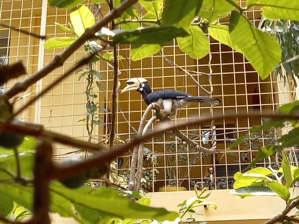 Bed and Breakfast Devi Music Ashram Rishīkesh Exterior foto